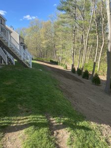 A backyard with a grassy lawn, a row of small trees, and an adjacent dirt path. A set of stairs leads up to a house on the left. Trees line the area in the background.