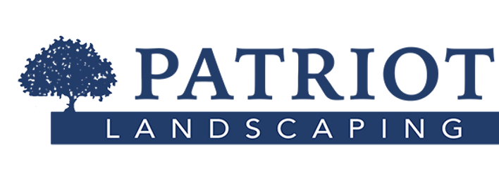 Logo for Patriot Landscaping featuring a tree silhouette on the left and the company name in bold blue letters.